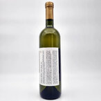 Virtus Pinot Grigio 0,75l