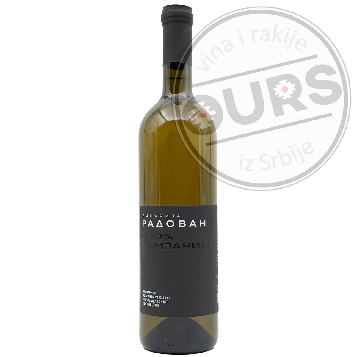 Radovan-Tamjanika-100%-1