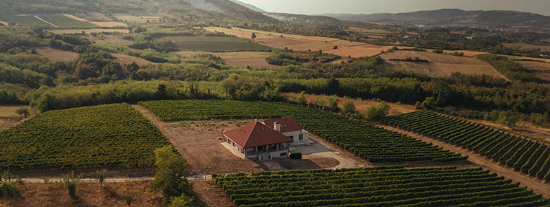 Vinarija Savić