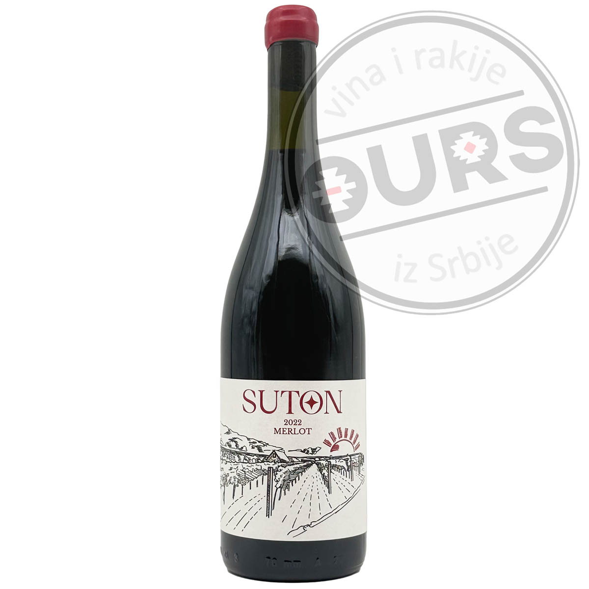 Anjino-vino-Suton-Merlot-1