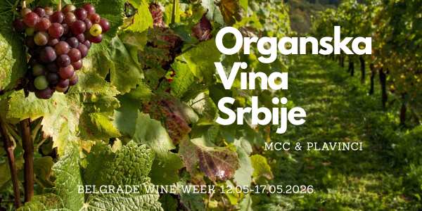 organska vina iz Srbije MCC Plavinci