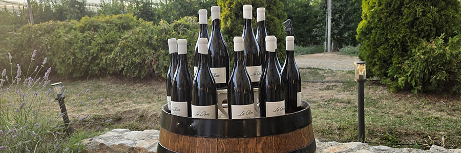 La Rem Chardonnay u bašti vinarije Deurić