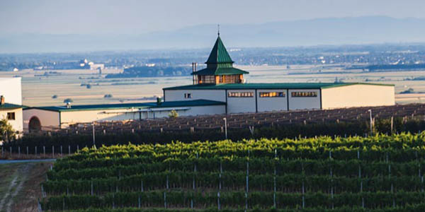 Vinarija-Deuric