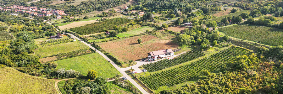 Veritas-vinarija-u-Sremskim-Karlovcima