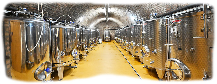 Vinum-inox-sala