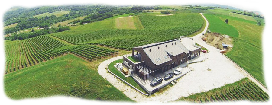 Eden-vinarija-1