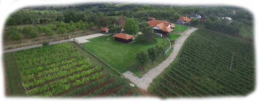 Katanic-vinarija