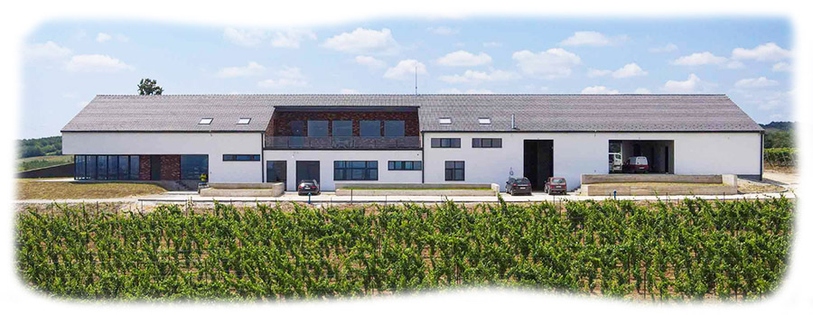 Matalja-vinarija