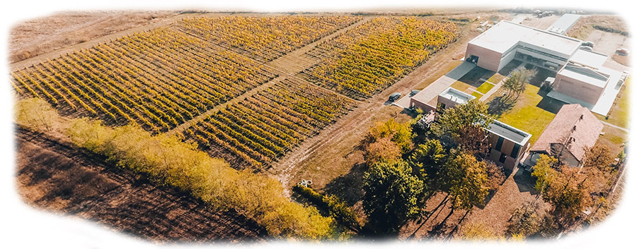 Virtus-vinarija-zgrada