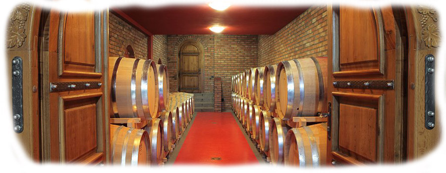vinarija-vinis-barik-sala_1