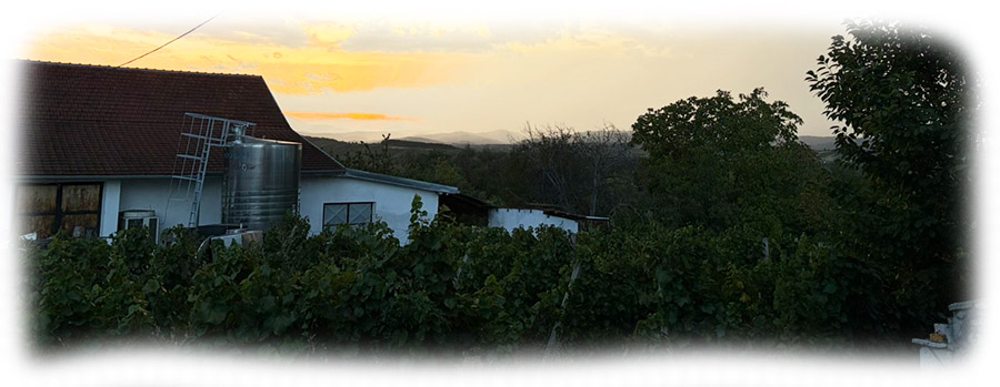 Rajkovic-vinarija