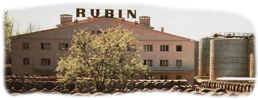 Rubin-zgrada