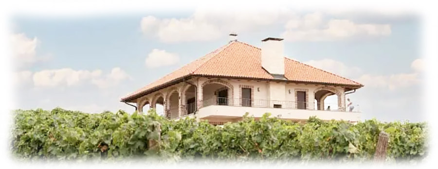 Savic-vinarija-zgrada
