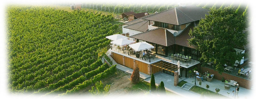 Tarpos-vinarija-iz-vazduha